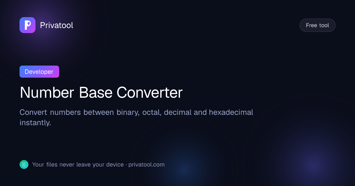 Number Base Converter — Binary Hex Decimal | Privatool
